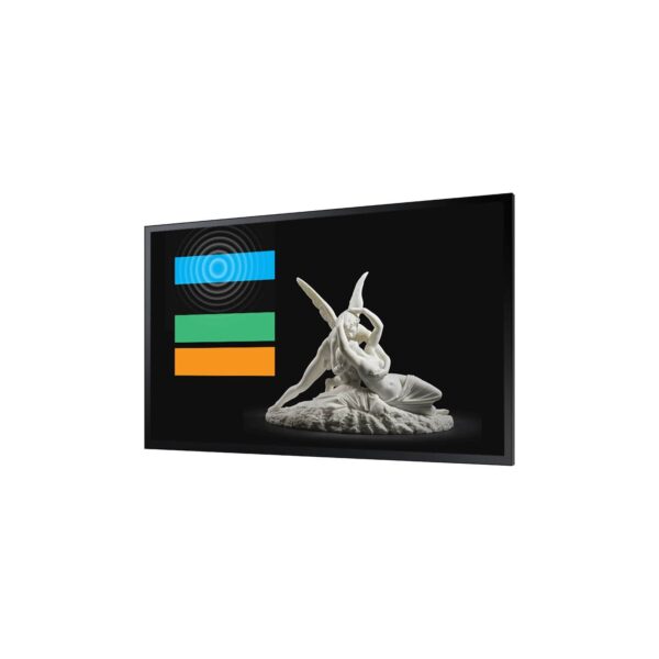 Monitor Touch Samsung QMB-T